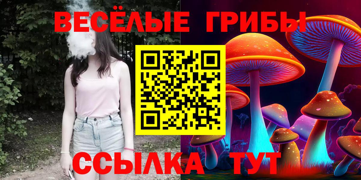 Псилоцибиновые грибы GOLDEN TEACHER  Вход с VPN  Дмитров  Галлюциногенные грибы прущие грибы 