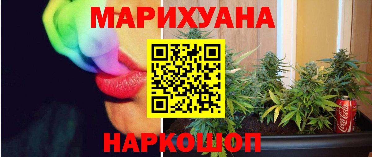 Канабис ГИДРОПОН Дмитров